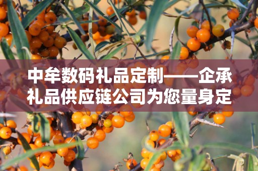 中牟数码礼品定制——企承礼品供应链公司为您量身定制的独特礼品